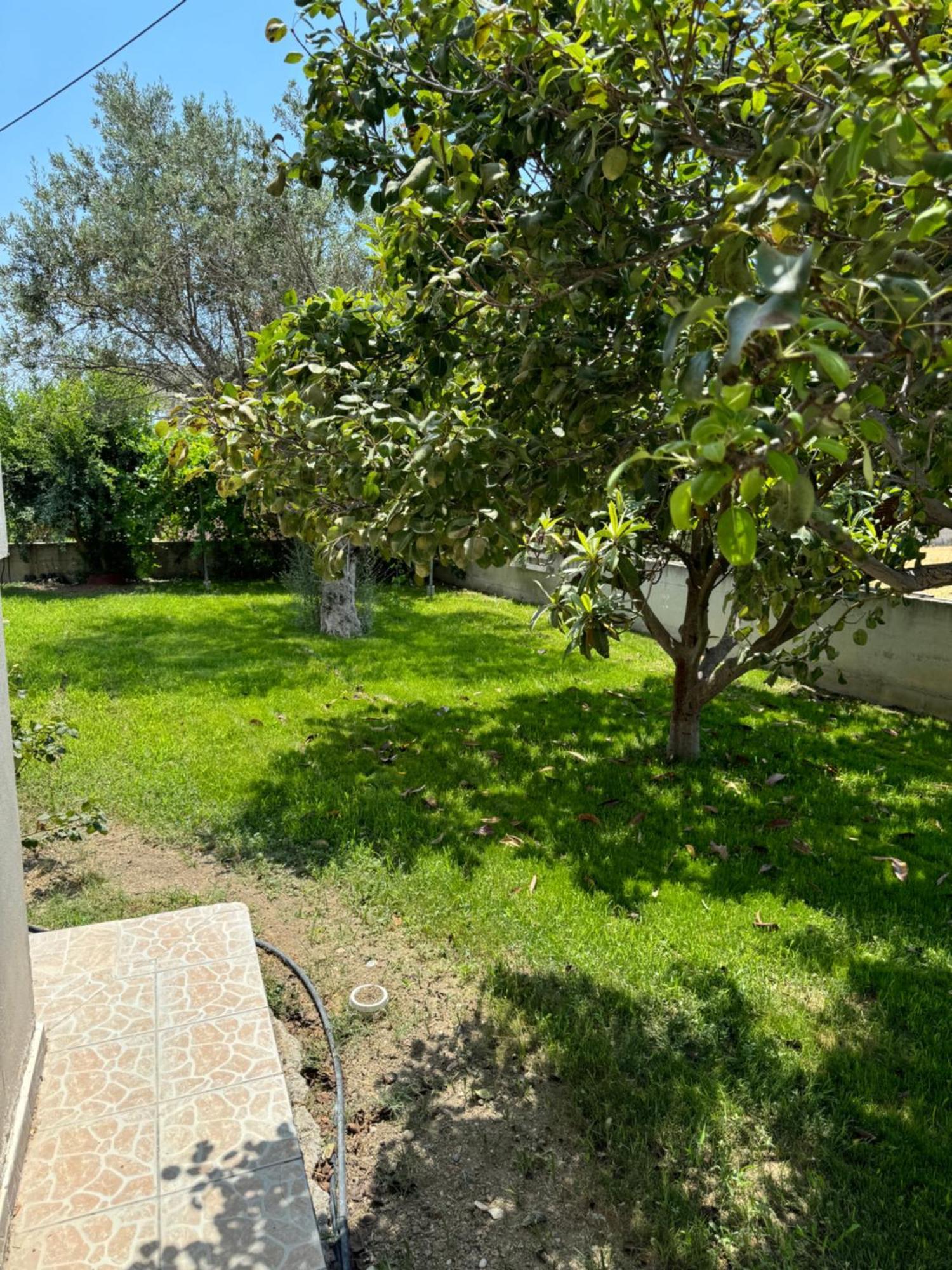 Fotis House Apartamento Afantou Exterior foto